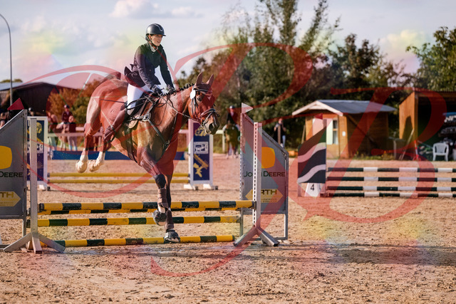 2026_10_03_Siefer-Hof_155538_Z81_74881554 | Professionelle Reitsport-, Turnier- und Eventfotografie von Robert Broda. Galerien mit ausgewählten und bearbeiteten Bildern direkt online ansehen und bestellen.