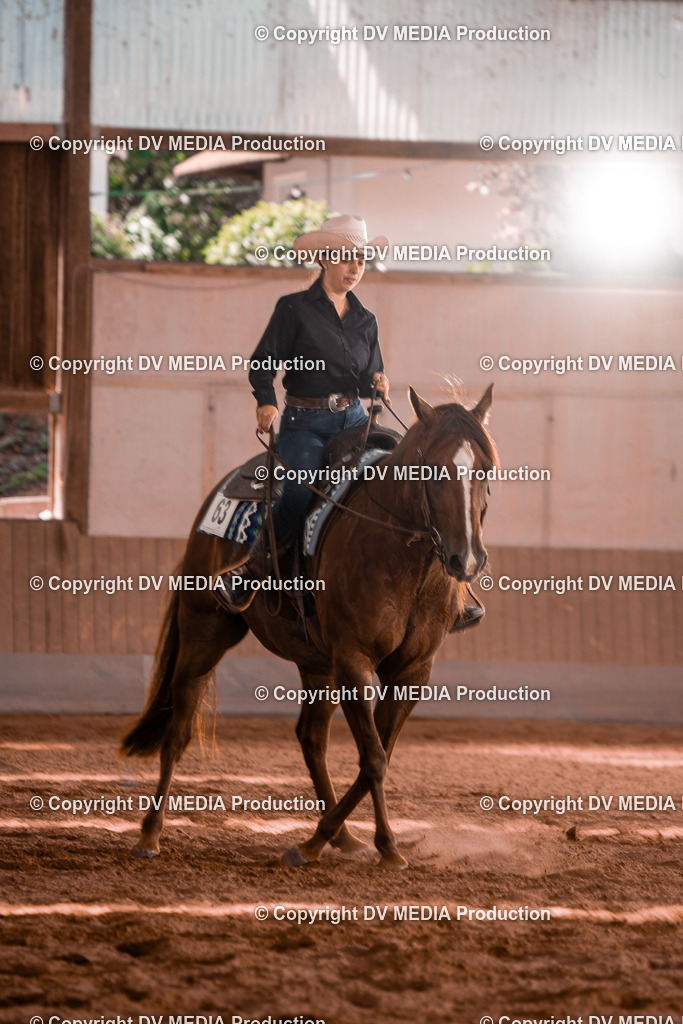 NE100539 | dv-media-shop - Realisiert mit Pictrs.com