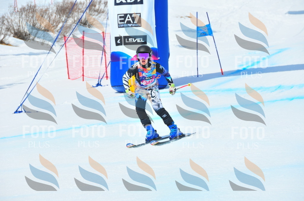 DSC_6938 | holidayphoto