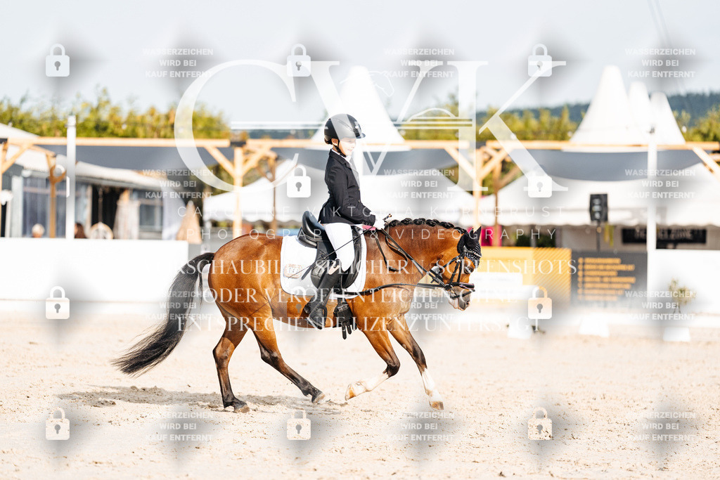 CK904236 | Turnierfotografie Pferdefotografie Trier Rheinland-Pfalz Pferdesport Reitsport Tierfotografie Sportfotografie Pferdevideo Pferdevideografie Equestrianvideography equestrianphotography  - Realisiert mit Pictrs.com