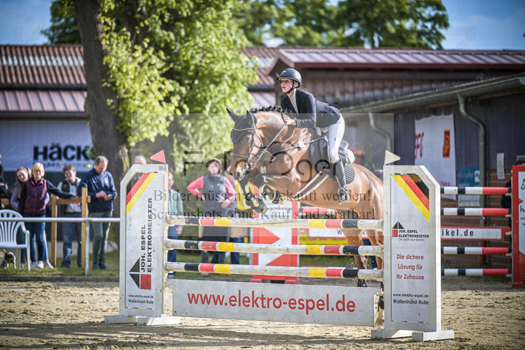 DOS_3260 | Entdecke hochwertige Reitturnierfotos von Foto Oger. Professionell, emotional und authentisch – jetzt Lieblingsmomente im Shop bestellen.Deutschlandweite Turnierfotografie. - Realisiert mit Pictrs.com