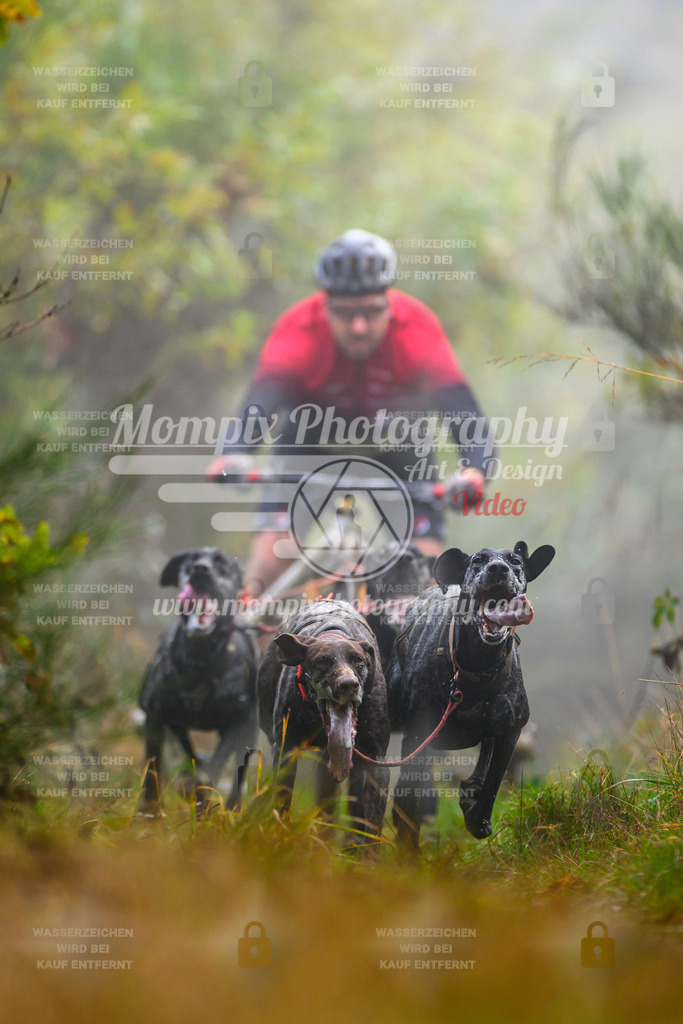 MompixPhotography_20TSB_E4_Kart-13 | PayLife