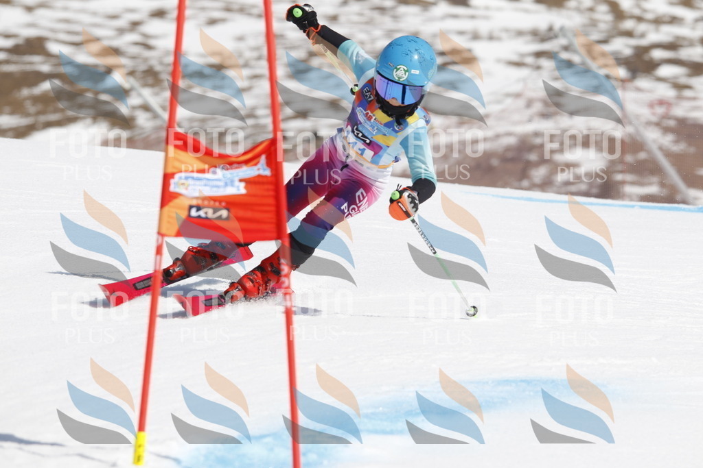 _U3G1050 | holidayphoto