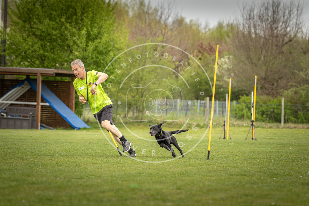 Pfotenfotografie_DV3A7635 | Hundefotografie, Tierfotograf, Pfotenfotografie, Fotoshooting Hund, Hunde Portrait, Hundesport, Hundeportraits, Heideshooting, Hunde, Sportfotograf, Hundefotograf, Turnierhundsport, THS,  - Realisiert mit Pictrs.com