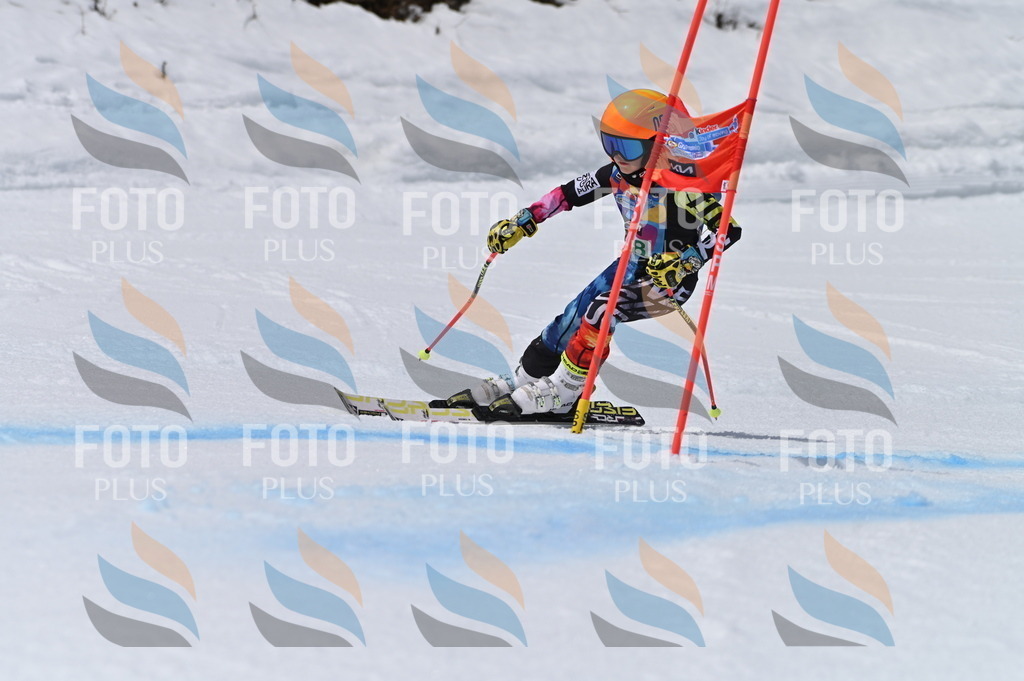 BGV_6703 | holidayphoto