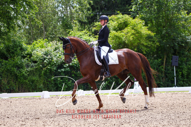 DKP41190 | Turnierfotos kaufen im Webshop von Daniel Kuhl Photography – entdecke professionelle Reitsportfotos aus Turnieren & Events. Hochwertige Turnierbilder online bestellen & sichern. Jetzt Fotos von Reitsportturnieren kaufen!
