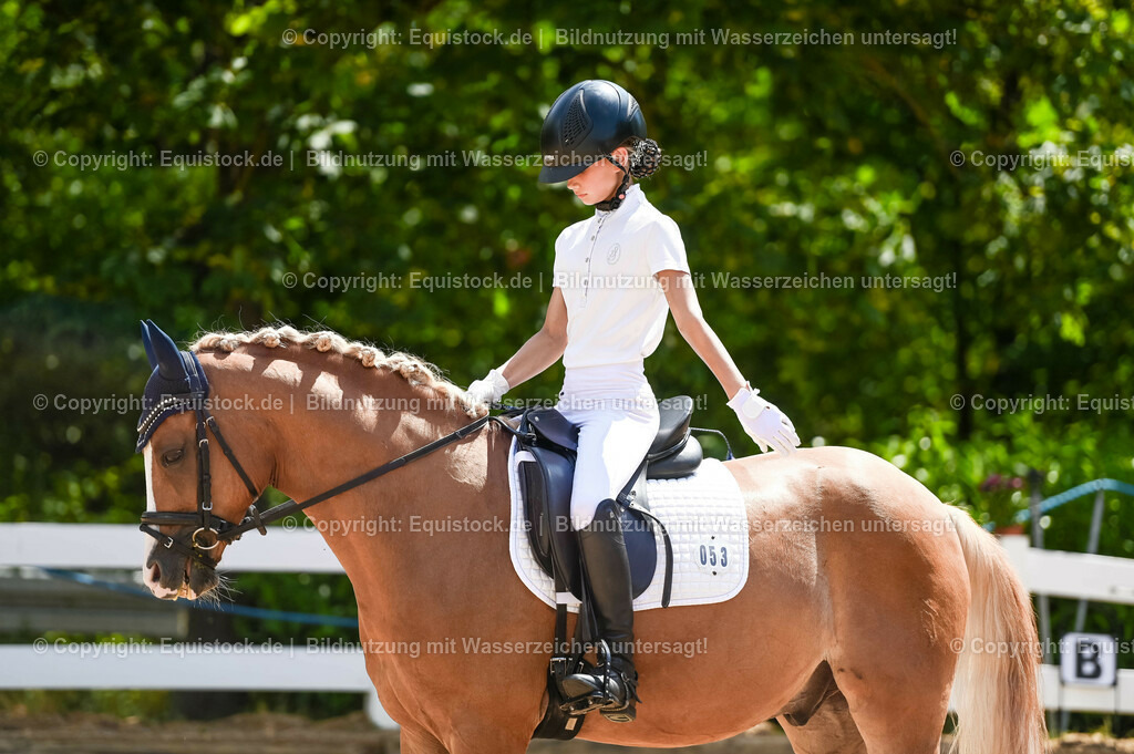 20230715_09_Dressur-WB_0290 | equistock