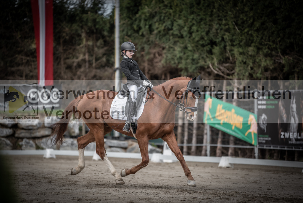DSC_3226 | equestrian-live-com