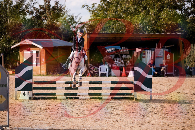 2026_10_03_Siefer-Hof_155137_Z81_70511117 | Professionelle Reitsport-, Turnier- und Eventfotografie von Robert Broda. Galerien mit ausgewählten und bearbeiteten Bildern direkt online ansehen und bestellen.