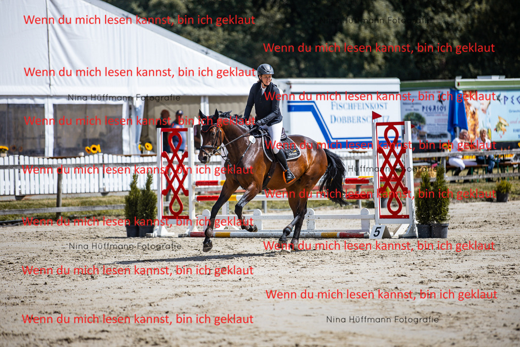 BK1A5135 | Turnierbilder Turnierfotos Nina Hüffmann Turnierfotografie Pferdefotografie Tierzeichnung Haustierzeichnung Pferdezeichnung Hundezeichnung Videograf  - Realisiert mit Pictrs.com