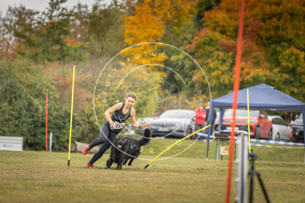 Pfotenfotografie_DV3A3548 | Hundefotografie, Tierfotograf, Pfotenfotografie, Fotoshooting Hund, Hunde Portrait, Hundesport, Hundeportraits, Heideshooting, Hunde, Sportfotograf, Hundefotograf, Turnierhundsport, THS,  - Realisiert mit Pictrs.com