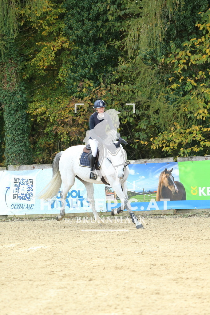 DL2Q5620 | Willkommen bei Brunnmayr - Design & Fotografie – Ihrem Spezialisten für Reitturniere und Pferdeveranstaltungen in Oberösterreich, Salzburg und Bayern! Seit über 17 Jahren sind wir leidenschaftlich dabei.