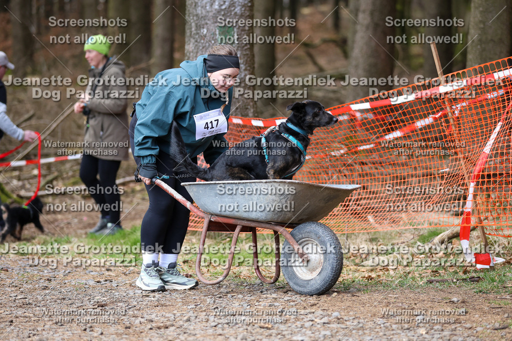Dog Paparazzi - VCC26-847 | Dog Paparazzi Jeanette Grottendiek Fotografie & Videografie - Realisiert mit Pictrs.com