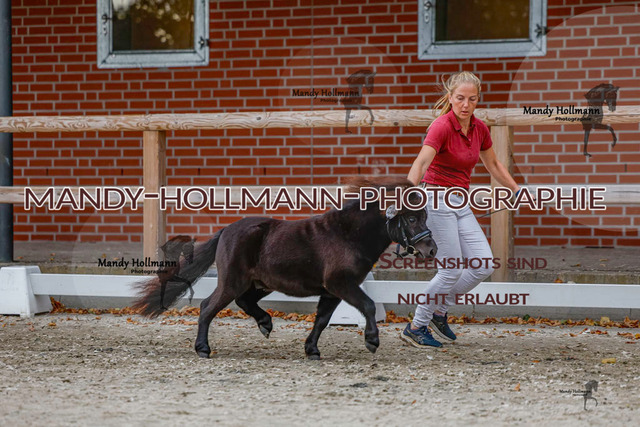 SH (78 von 345) | mandyhollmannphotographie