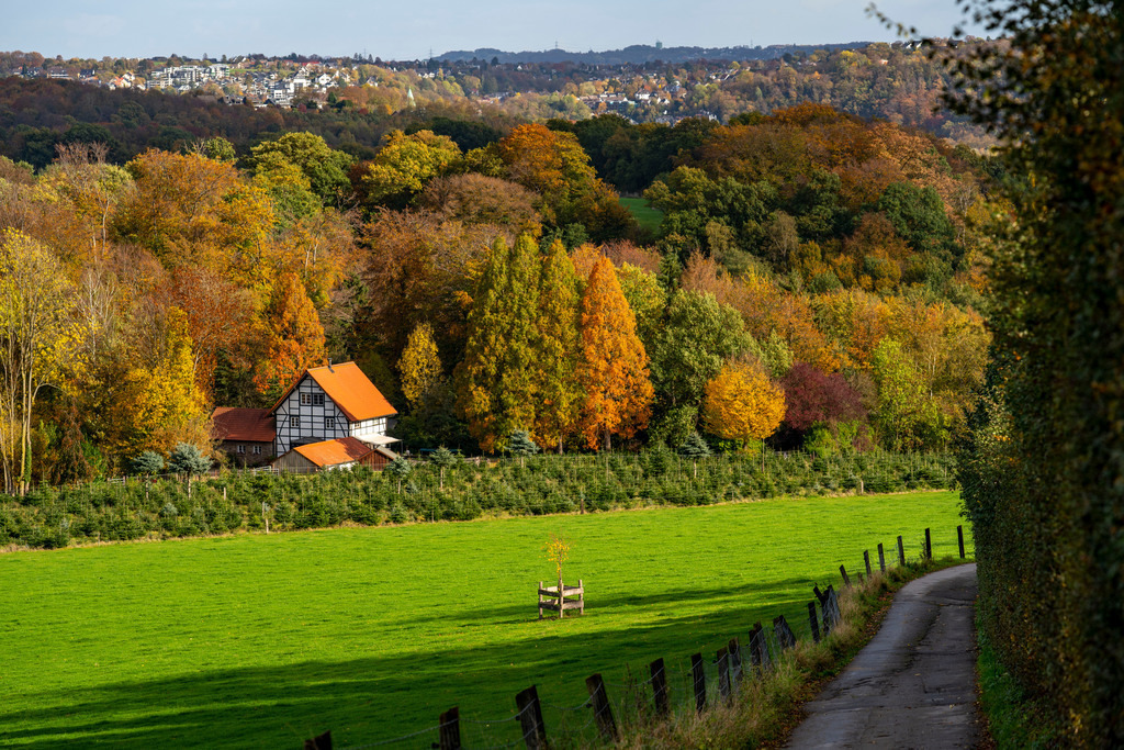 JT-201029 | Landschaft im Essener Süden, Stadtteil Schuir, Wanderweg, Teil des Kettwiger Panoramasteig, an der Pierburg, Essen, NRW, Deutschland - Realisiert mit Pictrs.com