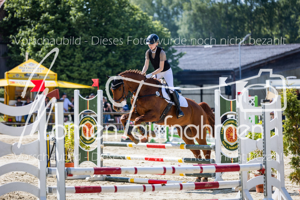 Donop24-ESpr-060 | MomenTaufnahmen Pferdesportfotos