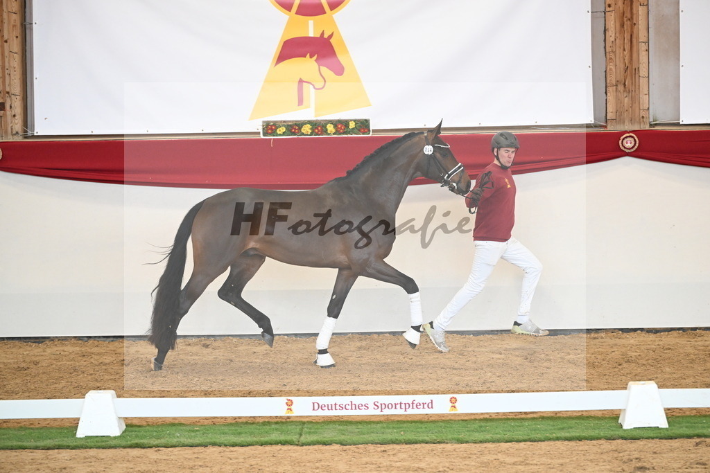 Kat.-Nr. 64 v. Fürst Zonik PS_Raedecke_2250548 | hf-fotografie - Realisiert mit Pictrs.com