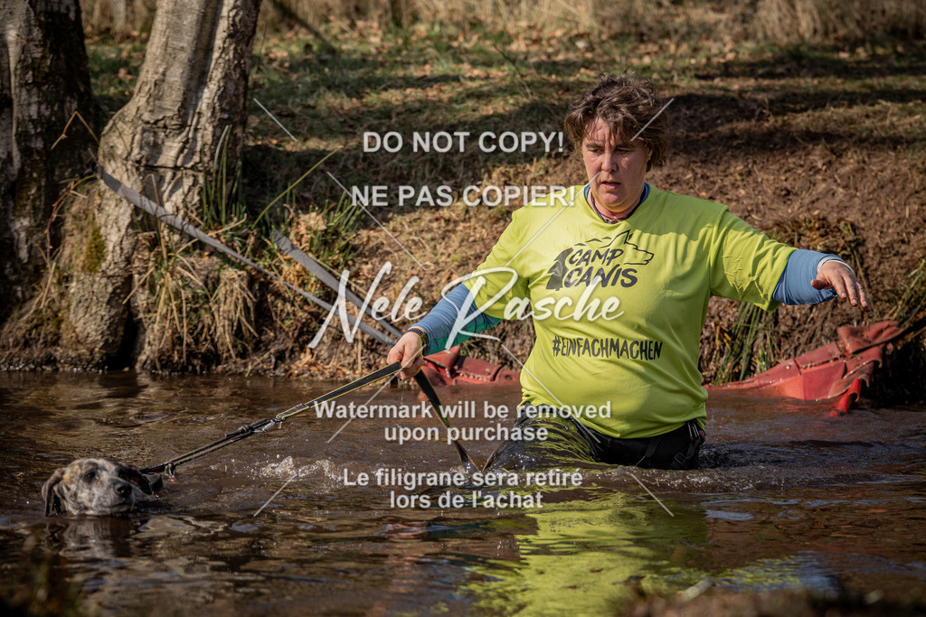 nelerasche_FS1330-1400_56 | nelerasche