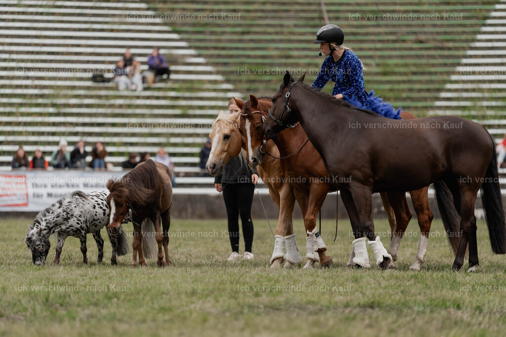 Showprogramm-456 | working equitationturnier fotograf videograf stoibphotography marixx film working equitation deutschland reitsport turnierfotografie eventfotografie equestrian events