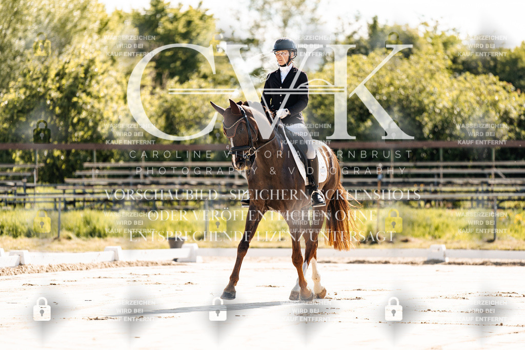 CK909078 | Turnierfotografie Pferdefotografie Trier Rheinland-Pfalz Pferdesport Reitsport Tierfotografie Sportfotografie Pferdevideo Pferdevideografie Equestrianvideography equestrianphotography  - Realisiert mit Pictrs.com