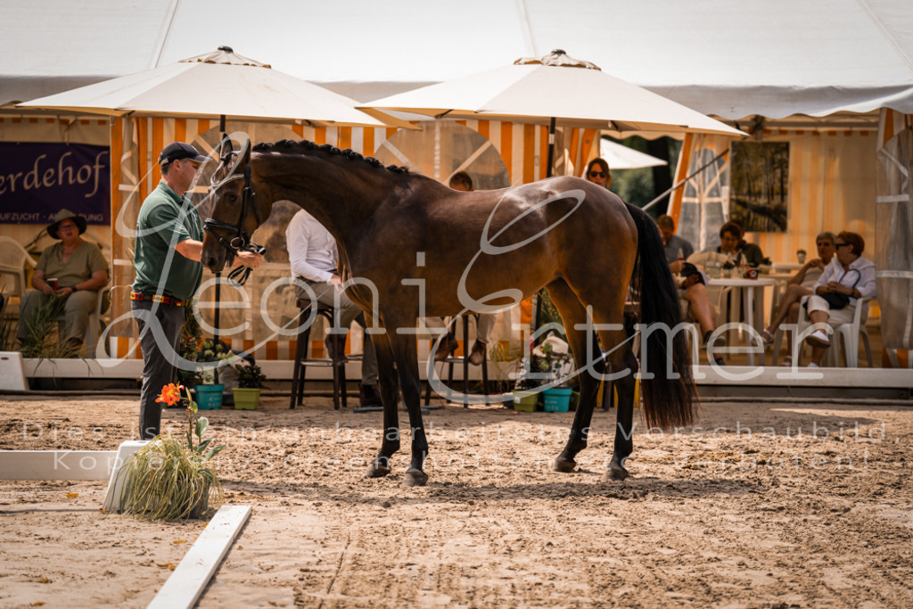 2. Fr00040 | Leoni Ertmer Photography - Realisiert mit Pictrs.com