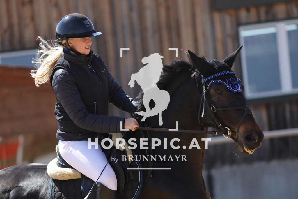 0P6A0449 | Willkommen bei Brunnmayr - Design & Fotografie – Ihrem Spezialisten für Reitturniere und Pferdeveranstaltungen in Oberösterreich, Salzburg und Bayern! Seit über 17 Jahren sind wir leidenschaftlich dabei.
