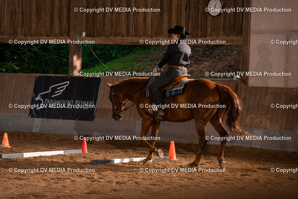 NE101300 | dv-media-shop - Realisiert mit Pictrs.com