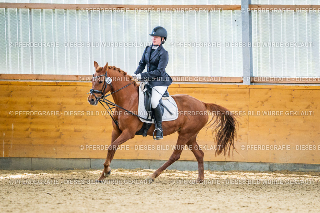 DSC04999 | Pferdegrafie