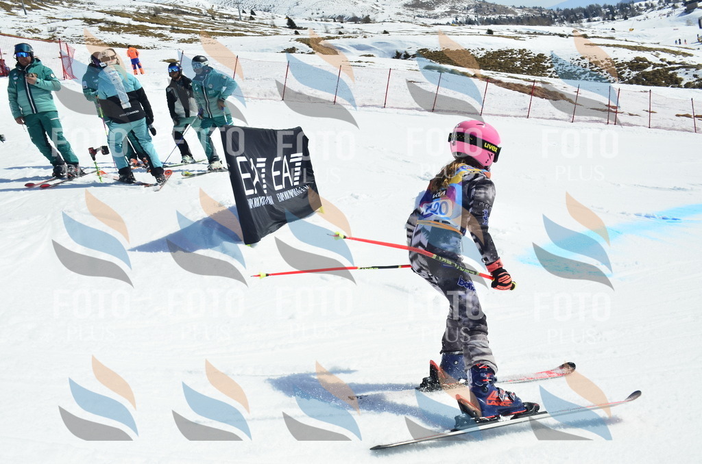 _ELE0733 | holidayphoto