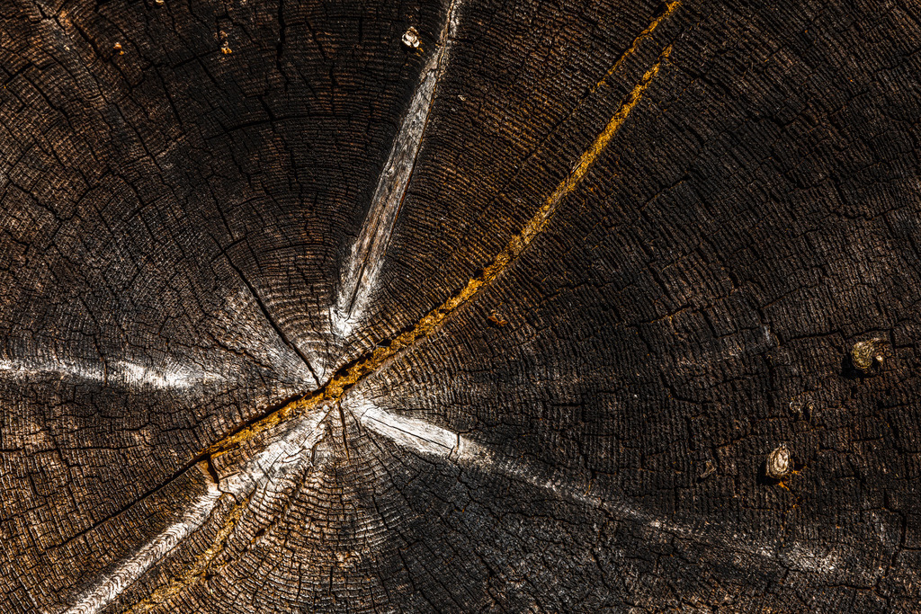 IU2A1417 | ap-design // andreas plenk - Realisiert mit Pictrs.com