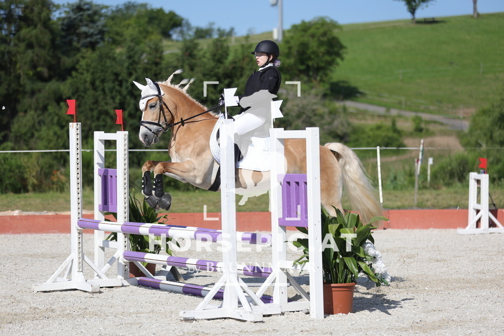 0P6A7381 | Willkommen bei Brunnmayr - Design & Fotografie – Ihrem Spezialisten für Reitturniere und Pferdeveranstaltungen in Oberösterreich, Salzburg und Bayern! Seit über 17 Jahren sind wir leidenschaftlich dabei.