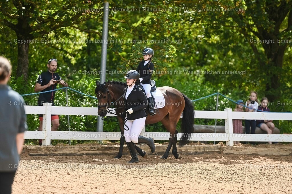 20230716_11_Führzügel-WB_0016 | equistock