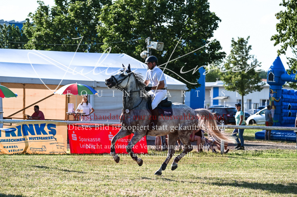 DSC_2818 | Pferde- und Turnierfotografie in Westsachsen. Pferdeportraits, Auftragszeichnungen und intuitive Kunst.