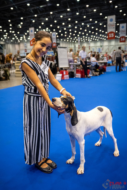World Dog Show | World Dog Show 2023 im Palexpo in Genf 23.08.2023 Foto: Leo Wyden