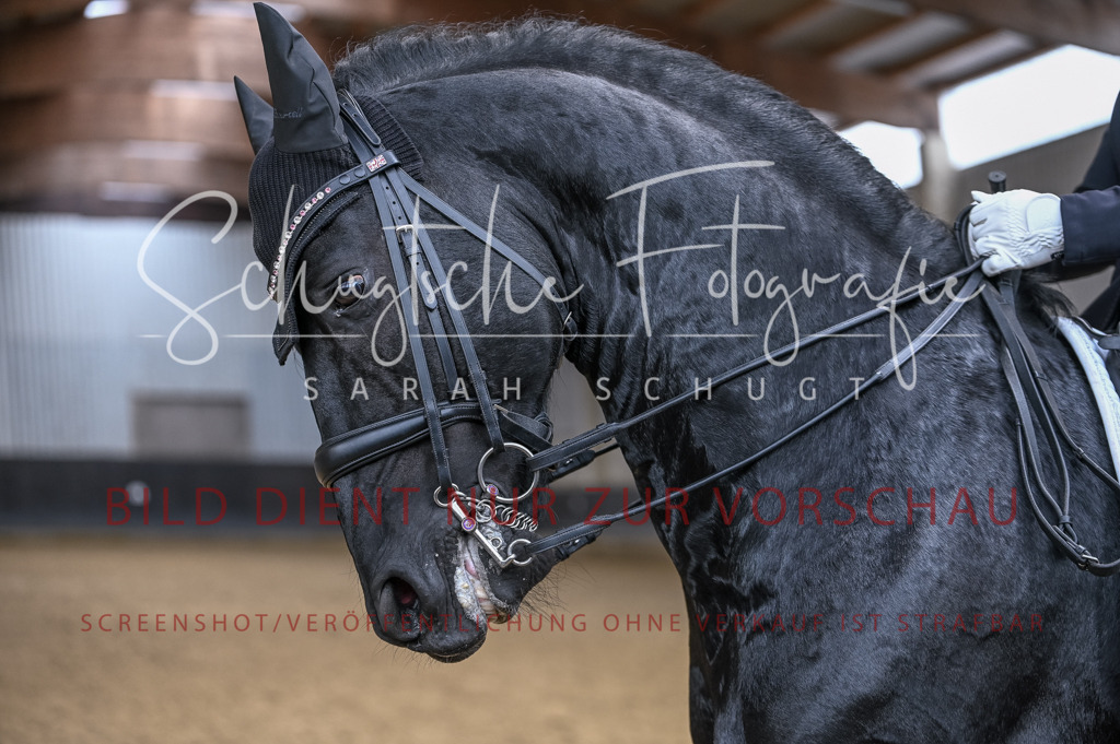Schugtsche-Aluta25-57.Dressurprf.M1Kand-271 | Schugtsche Fotografie - Realizzato con Pictrs.com