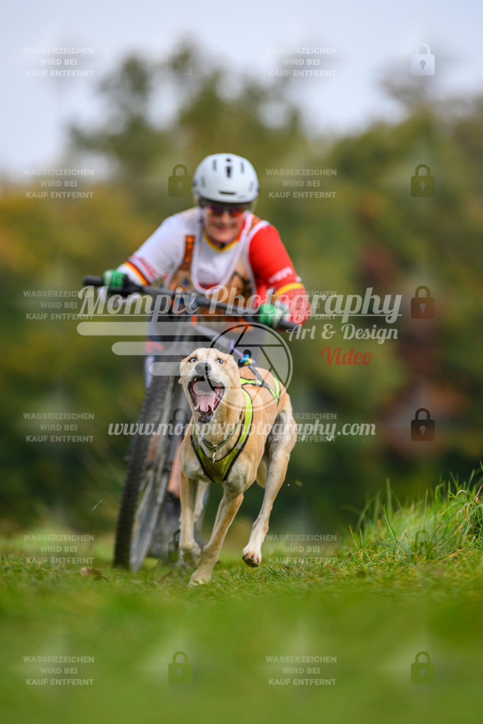 MompixPhotography_CDLBDB2025_DI_DS-77 | PayLife