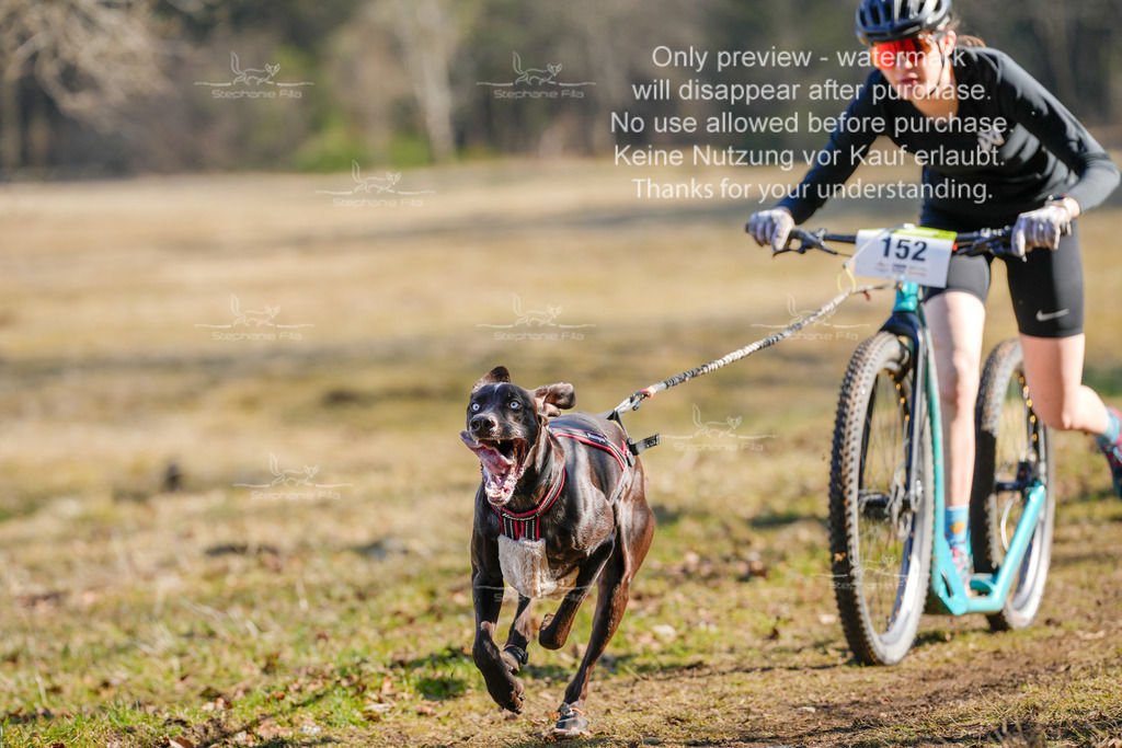 Scooter_So-7 | stephaniefillaphotographie - Realisiert mit Pictrs.com