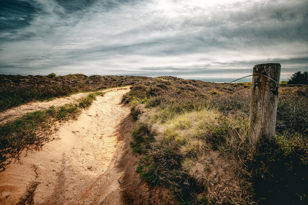 Geschwungener Sandpfad durch die Dünenlandschaft auf Sylt | Dieses Bild zeigt eine wunderschöne, naturbelassene Dünenlandschaft mit einem geschwungenen Sandpfad, der typisch für die Nordseeküste ist. Details zur LandschaftVegetation: Der Weg ist von typischem Dünengras (Heidekraut und Strandhafer) gesäumt.Vordergrund: Auf der rechten Seite ist ein alter Holzpfahl mit einem verrosteten Draht zu sehen.Atmosphäre: Der bewölkte, dramatische Himmel verleiht der Szene eine weite und windige Küstenstimmung. - Realisiert mit Pictrs.com