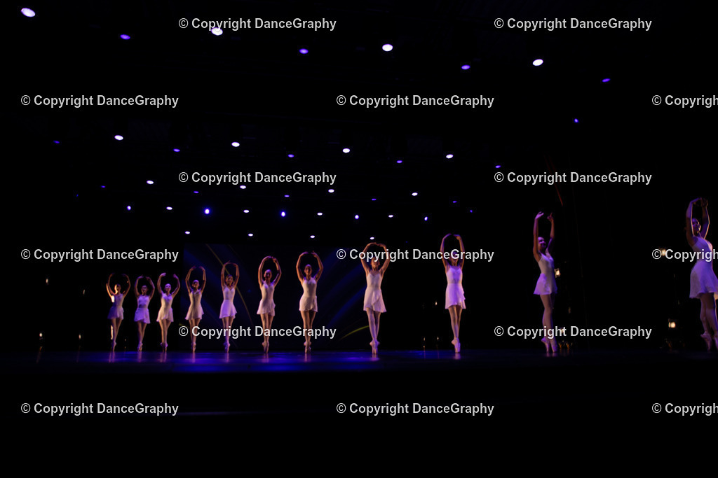 GPHY4042 | DanceGraphy - Realisiert mit Pictrs.com