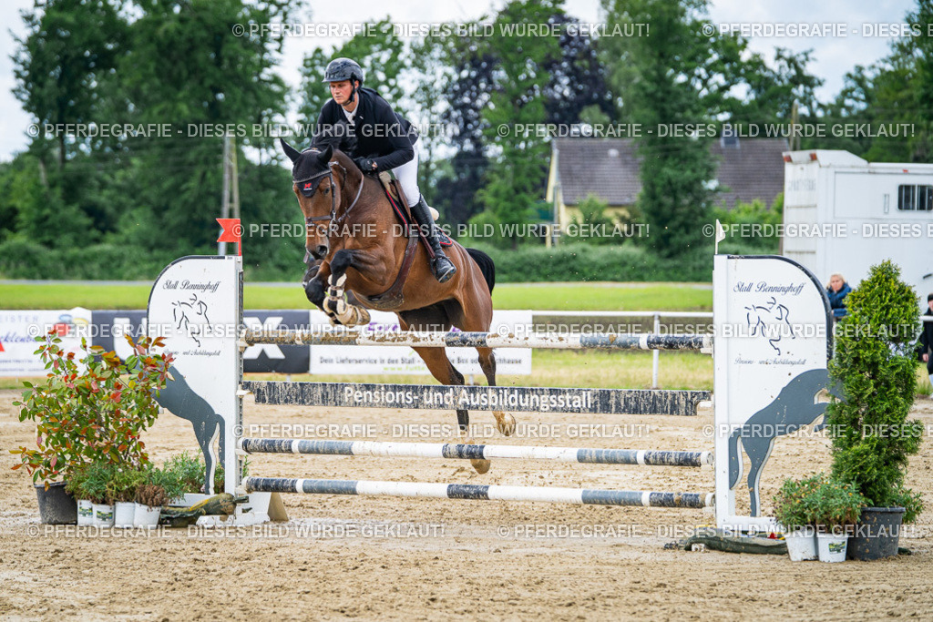 DSC04750 | Pferdegrafie