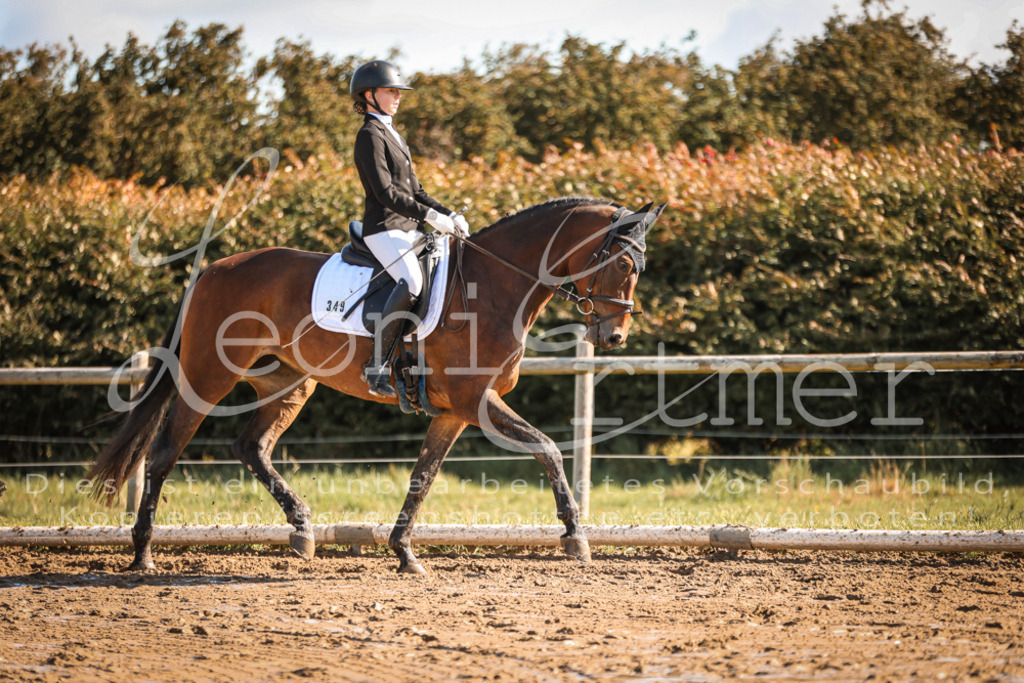 07.SoDrE00142 | Leoni Ertmer Photography - Realisiert mit Pictrs.com