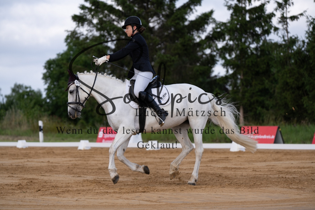 A7V05164 | Pferdefotograf