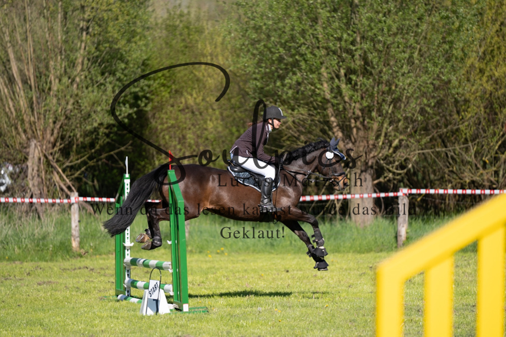 A7V01597 | Pferdefotograf