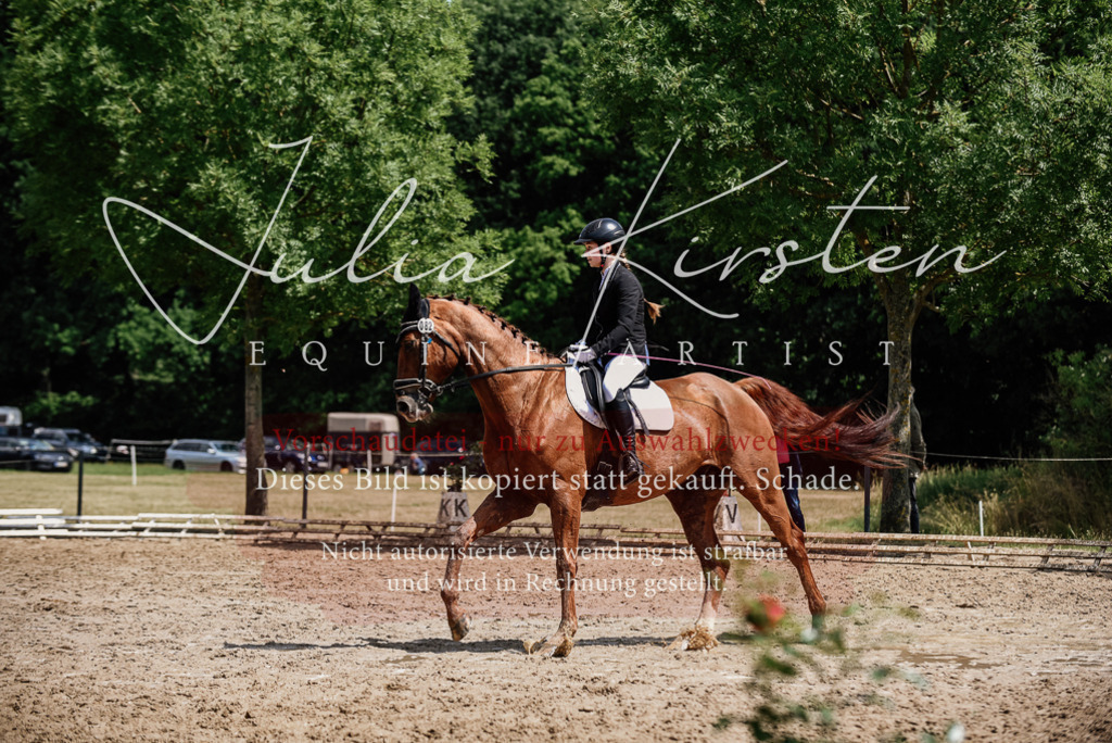 DSC_1403 | Pferde- und Turnierfotografie in Westsachsen. Pferdeportraits, Auftragszeichnungen und intuitive Kunst.