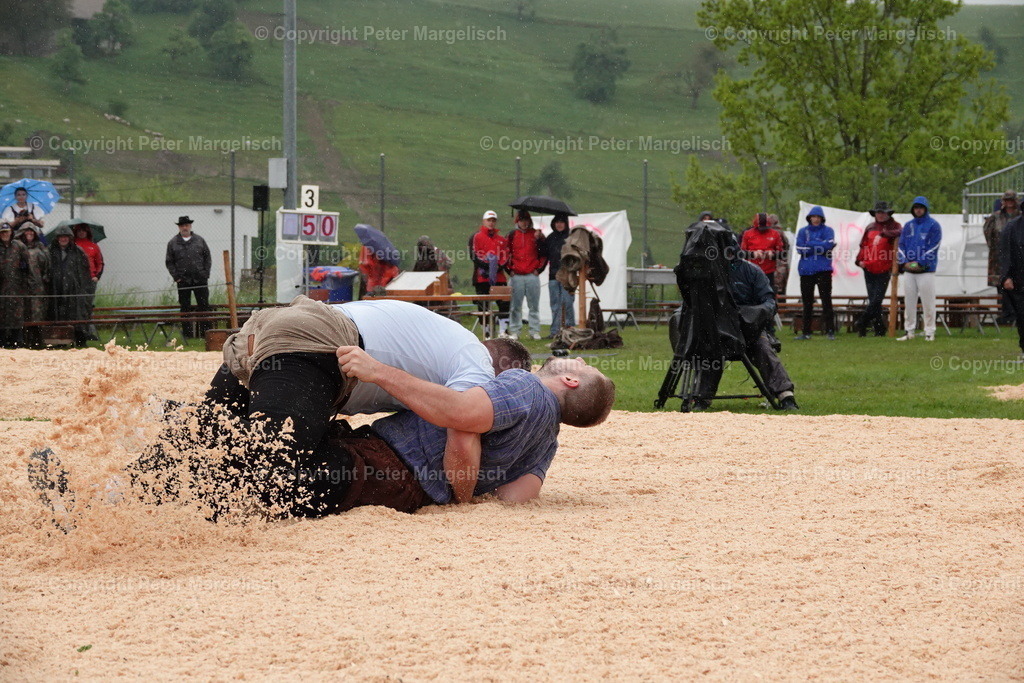 DSC00756 | Schwingen - Realisiert mit Pictrs.com