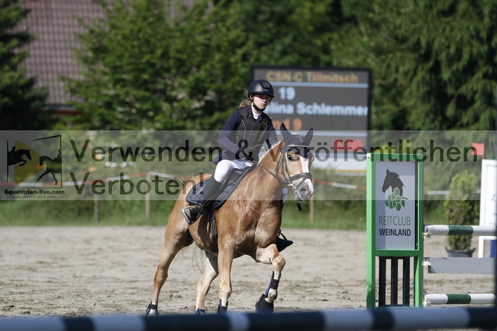 _MG_2448 | equestrian-live-com