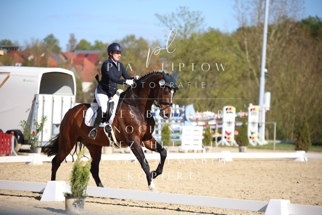 IMGT9077 | pl-fotografie