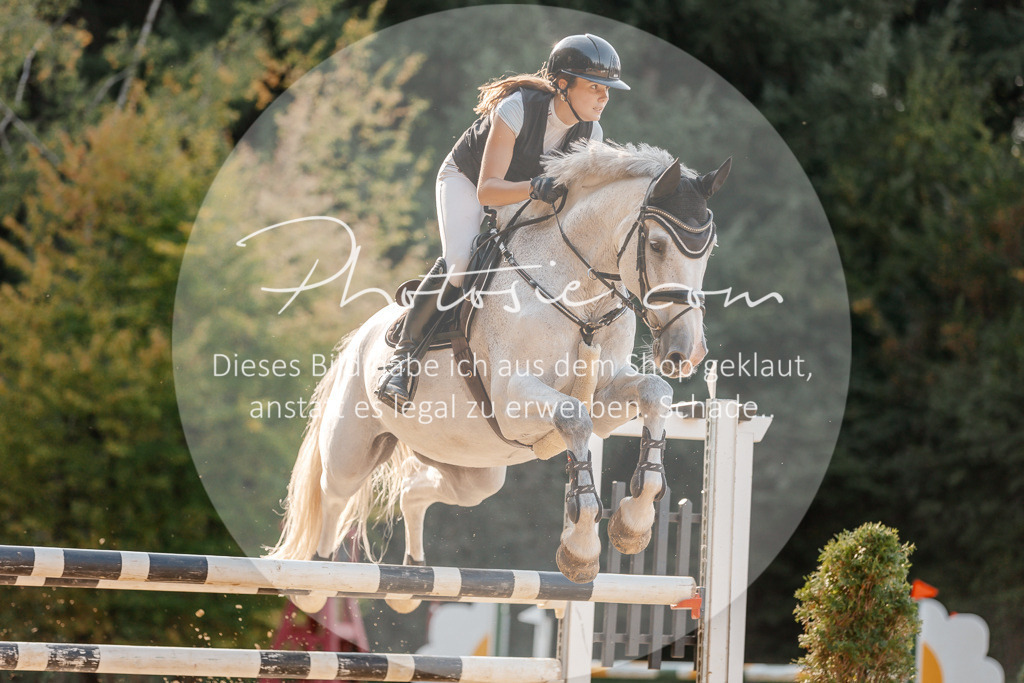3I6A5228 | Stimmungsvolle Portraits und Reitsportfotografie im Ruhrgebiet und im Münsterland.

Pferdefotografie, Hundefotografie, Tierfotografie, Reportagen, Portraits von Tier und Mensch, Turnierfotografie in Bochum, Recklinghausen, Marl, Haltern am See, Dülmen.. - Realisiert mit Pictrs.com