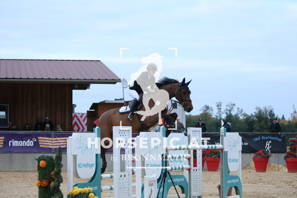 DL2Q6510 | Willkommen bei Brunnmayr - Design & Fotografie – Ihrem Spezialisten für Reitturniere und Pferdeveranstaltungen in Oberösterreich, Salzburg und Bayern! Seit über 17 Jahren sind wir leidenschaftlich dabei.