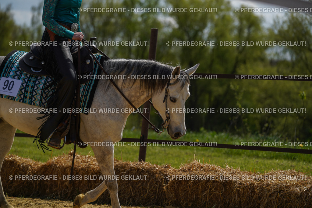 DSC04559 | Pferdegrafie